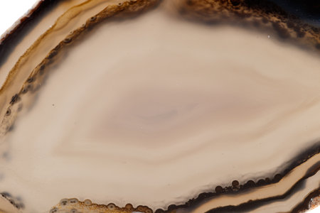 Macro mineral stone Yellow, brown Agate breed a white background close up