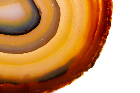 Macro mineral stone Yellow, brown Agate breed a white background close upの写真素材