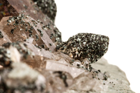 Macro mineral stone quartz chlorite Palygorskite rock on a white background close-upの写真素材