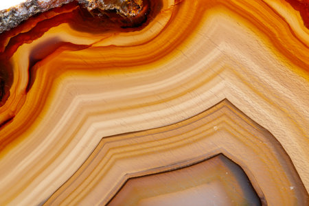 Macro mineral stone Yellow, brown Agate breed a white background close upの写真素材