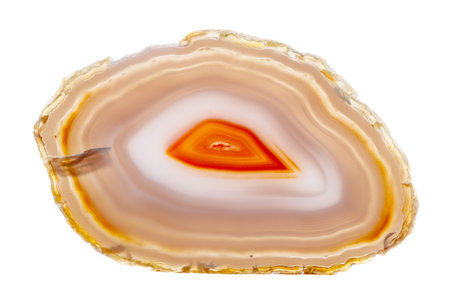 Macro mineral stone Yellow, brown Agate breed a white background close upの写真素材