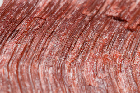 Macro mineral stone Bull eye, tiger's eye in the breed on a white background close up
