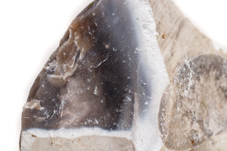 Macro mineral stone Flint in the rock on a white background close upの写真素材