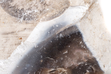 Macro mineral stone Flint in the rock on a white background close upの写真素材