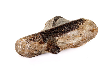 macro mineral stone Staurolite on a white background close up