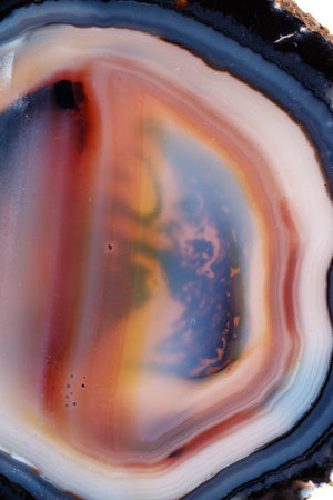 Macro mineral stone Yellow, brown Agate breed a white background close upの写真素材