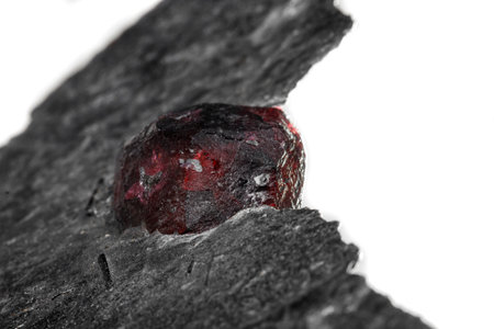 Macro mineral stone garnet in the rock on a white background close-upの写真素材