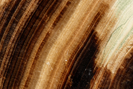 macro stone mineral marble Onyx on a black background close upの写真素材