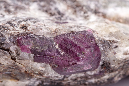 macro mineral stone ruby on a white background close-upの写真素材