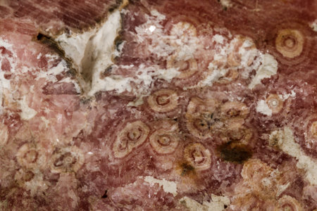 Macro stone cobalt calcite mineral on a black background close upの写真素材