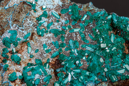 macro mineral stone Dioptase on a gray background close-upの写真素材