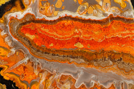 Macro mineral stone "Bee" jasper on a gray background close-upの写真素材