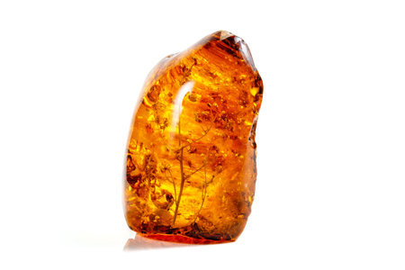 Macro stone mineral amber with insects, flies and beetles on a white background close upの写真素材