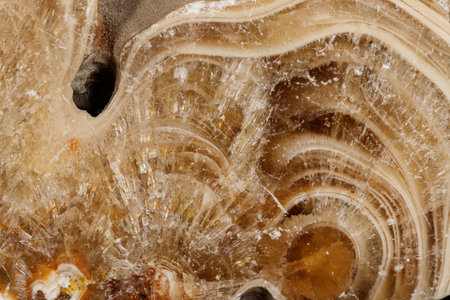 Macro stone Flint mineral on a black background close upの写真素材