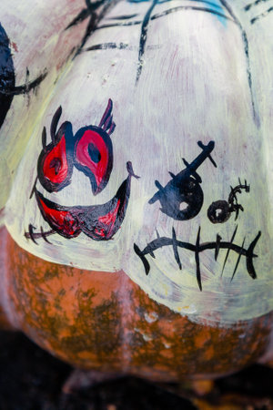 Beautiful pumpkins for halloweenの写真素材