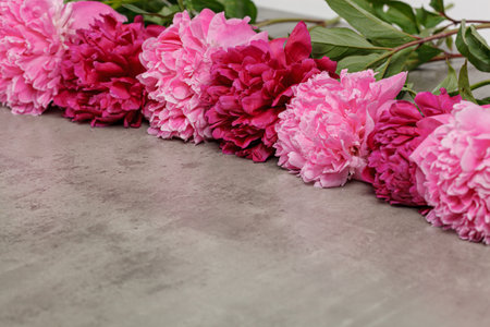 beautiful peonies on a gray table close-upの写真素材