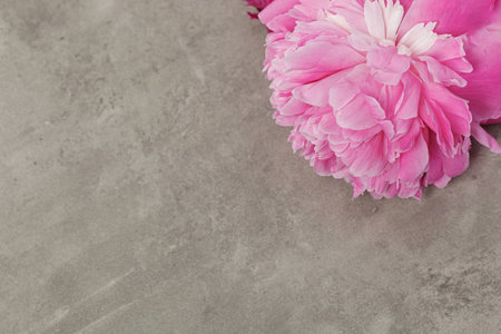 beautiful peonies on a gray table close-upの写真素材