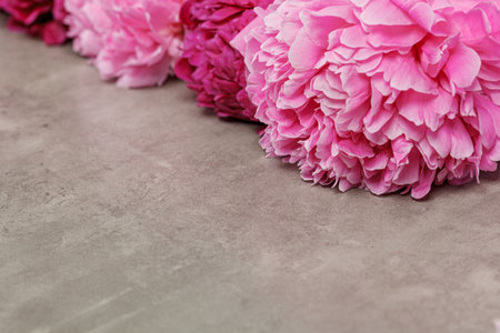 beautiful peonies on a gray table close-upの写真素材