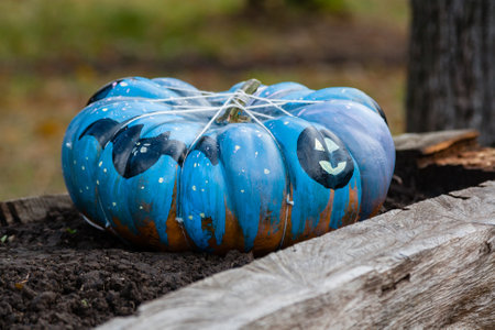Beautiful pumpkins for halloweenの写真素材