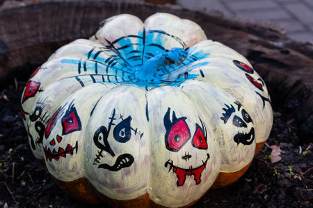 Beautiful pumpkins for halloweenの写真素材