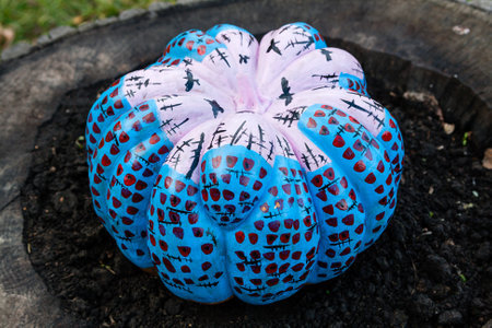 Beautiful pumpkins for halloweenの写真素材