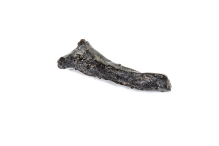 Macro stone mineral meteorite tektite on white background close upの写真素材