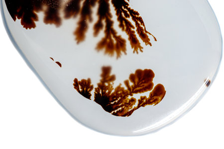 macro mineral stone Agata muschiata on a white background close-up