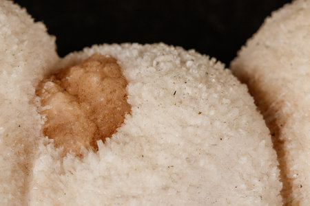 Macro stone mordenite mineral on a black background close upの写真素材