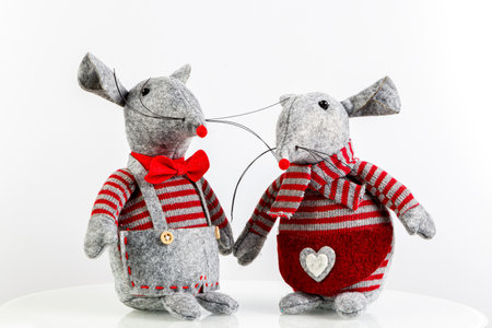 beautiful pair of mice, rats, new year, year of the rat on a white background close-upの写真素材