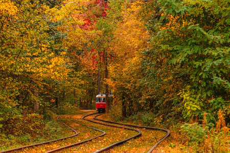 Autumn forest through which an old tram rides (Ukraine) close-upの写真素材