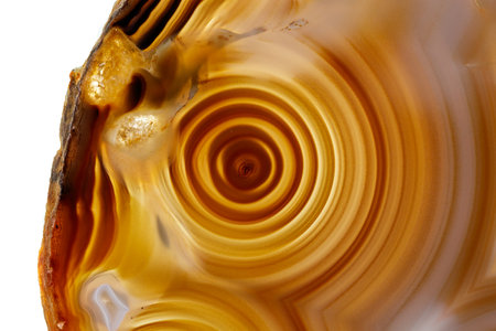 Macro stone Agate mineral on white background close upの写真素材