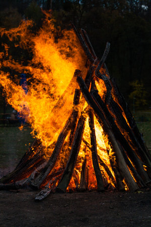 Beautiful fire flames on a campfireの写真素材