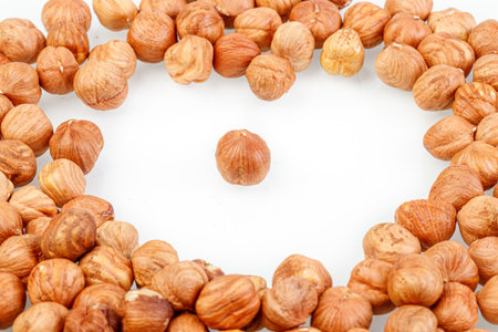 macro hazelnuts nuts on a white background close-upの写真素材