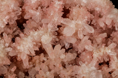 Macro stone mineral pink quartz amethyst on a black background close upの写真素材