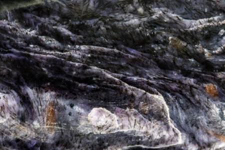 Macro stone Charoite mineral on a black background close upの写真素材