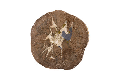 macro stone mineral Phosphate galena on a white background close upの写真素材