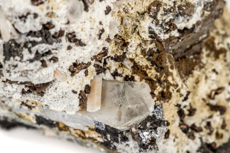 Macro stone Pyrite mineral in rock on a white background close upの写真素材