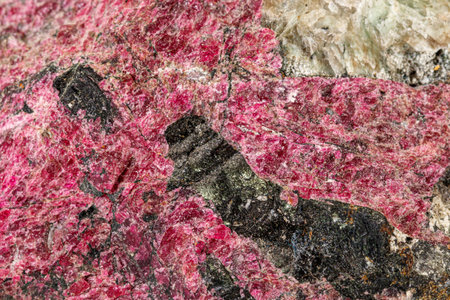 Macro stone Eudialyte mineral on white background close upの写真素材