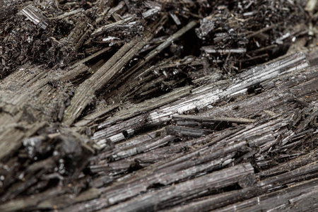 Macro stone black mineral tourmaline Scherl on white background close up