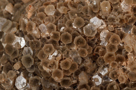 Macro stone Aragonite mineral on a black background close upの写真素材