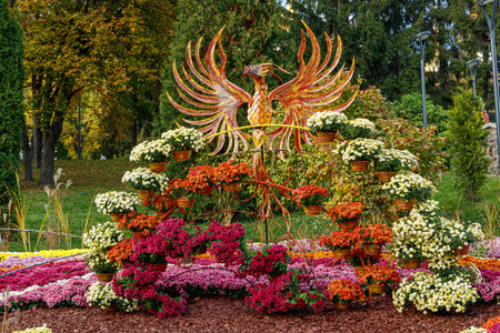multi-colored flower beds of beautiful chrysanthemums close upの写真素材