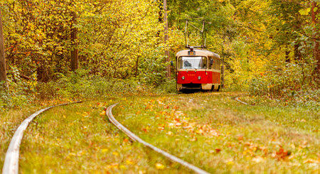 Autumn forest through which an old tram rides (Ukraine) close-upの写真素材