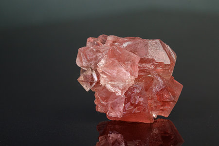 macro mineral stone pink fluorite on a black background close-up