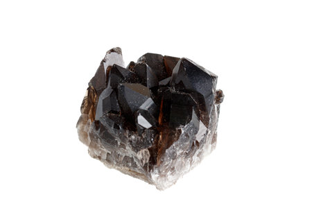 morrosus, Morion mineral stone macro on white background close upの写真素材