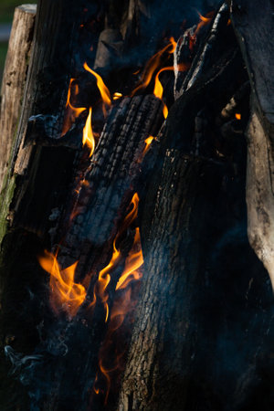 Beautiful fire flames on a campfireの写真素材