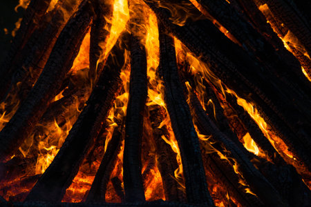 Beautiful fire flames on a campfireの写真素材