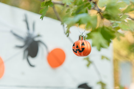 Beautiful autumn Halloween location close-upの写真素材