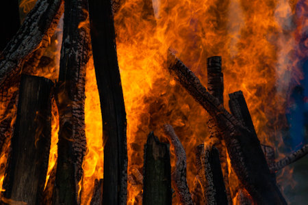 Beautiful fire flames on a campfire