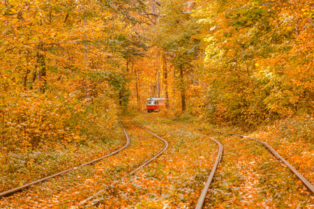 Autumn forest through which the tram travels, Kyiv and rails close-upの写真素材