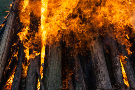 Beautiful fire flames on a campfireの写真素材